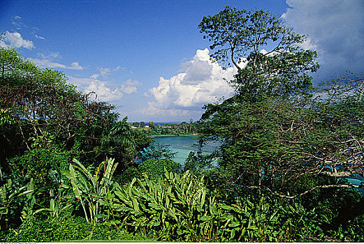 湾,安东尼奥港,牙买加