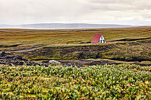 一个,房子,冰岛,高地