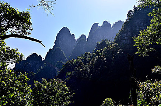 莲花山