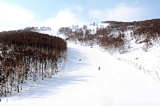 在滑雪场白色的雪道上滑雪的人