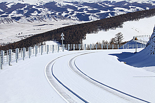 东天山雪韵