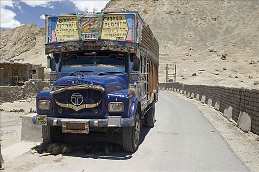 特色,印度,卡车