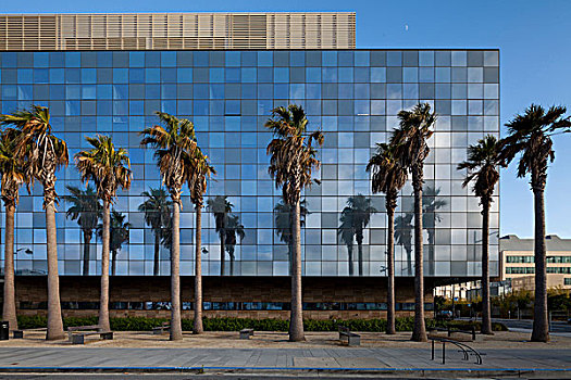 棕榈树,反射,现代,建筑,大学,加利福尼亚,旧金山,湾,校园,美国