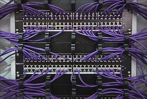 几个,紫色,线缆,联系,以太网