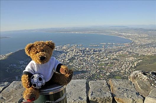 足球,泰迪熊,正面,桌山,南非