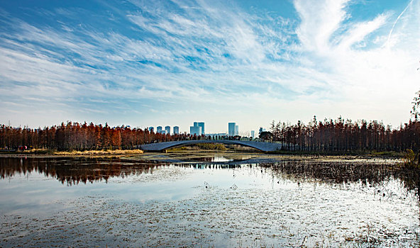 南昌鱼尾洲湿地公园