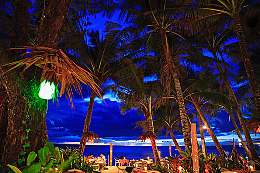 阿克兰,菲律宾,餐馆,棕榈树,光亮,夜晚,海滩,水