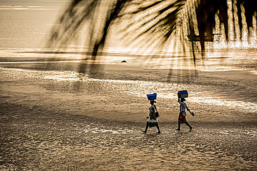 女人,走,海滩,群岛,莫桑比克