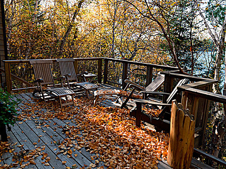 宽木躺椅,平台,湖,木头,安大略省,加拿大