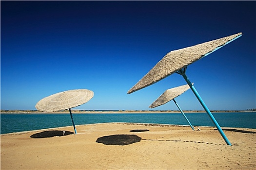 藤条,海滩伞