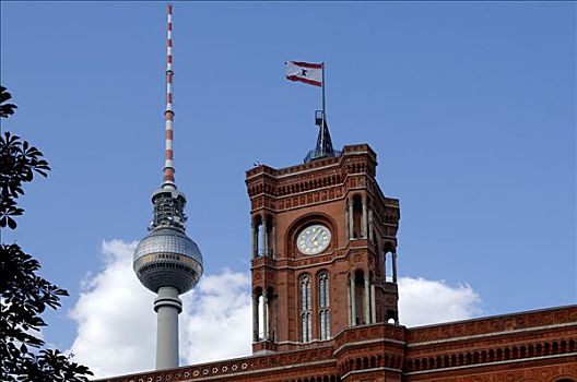 红色,市政厅,特写,正面,电视塔,柏林,德国,欧洲