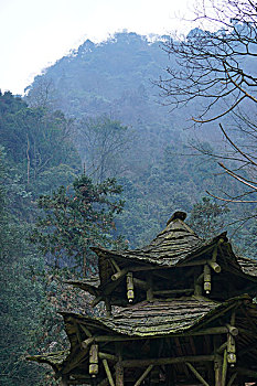 四川青城山的春天,幽静美好