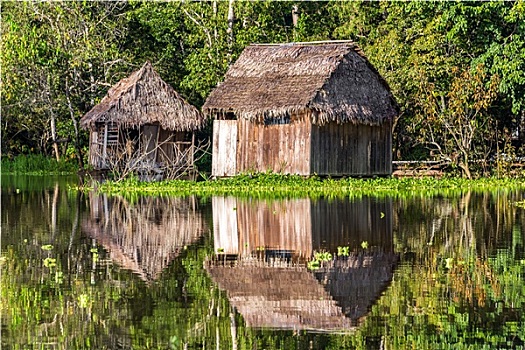 小屋,反射,亚马逊河