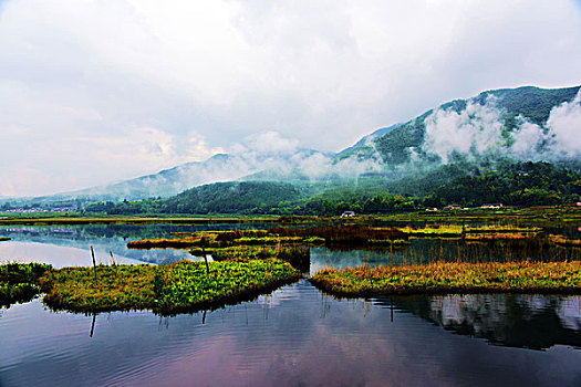 腾冲湿地