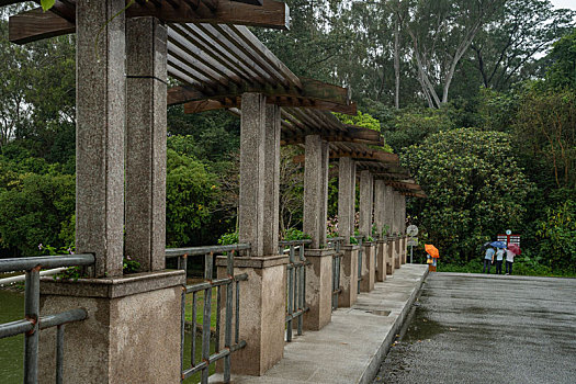 广州2023年春季华南雨中的植物园古桥