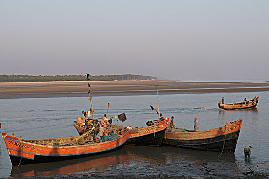 印度,西孟加拉,渔船