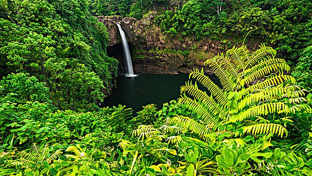 彩虹瀑布,河,州立公园,希洛,夏威夷大岛,夏威夷,美国