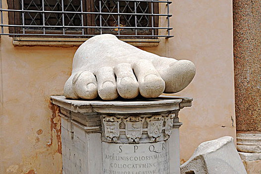巨大,大理石,脚,局部,雕塑,卡比托山,博物馆,罗马,意大利,欧洲