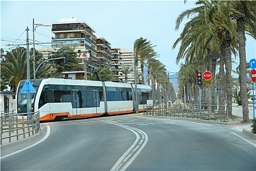 电车,棕榈树,西班牙