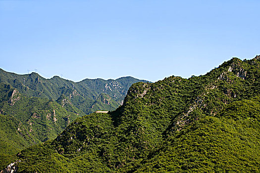 植被茂盛巍峨的青山