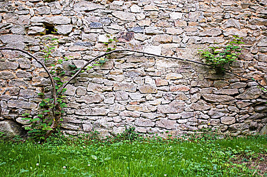 石墙,花园