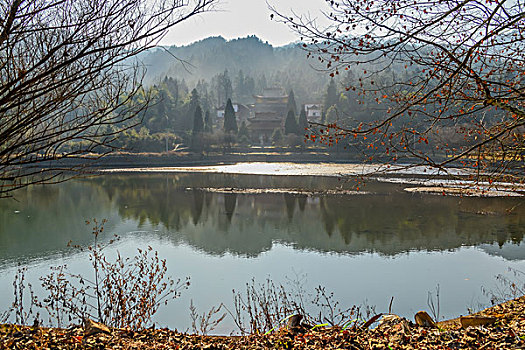 树,蓝天,田野,山,背景,牛,寺庙,村庄,山岗,河,池塘,湖,水,岸