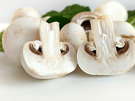 蘑菇,双孢菇