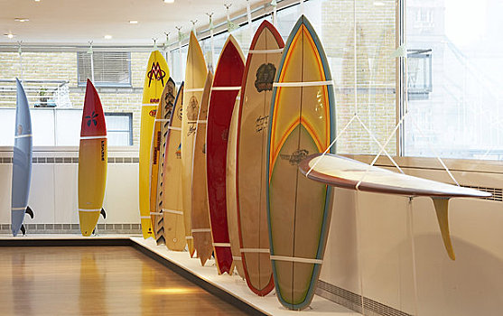 形状,演化,冲浪板,设计,博物馆,2006年,站立