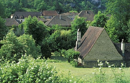 法国,房子,翠绿