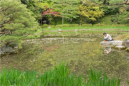 风景,水塘,日本,园艺