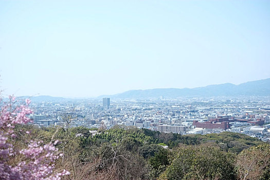 京都伏见稻荷