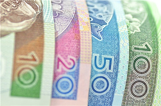 品种,货币,波兰