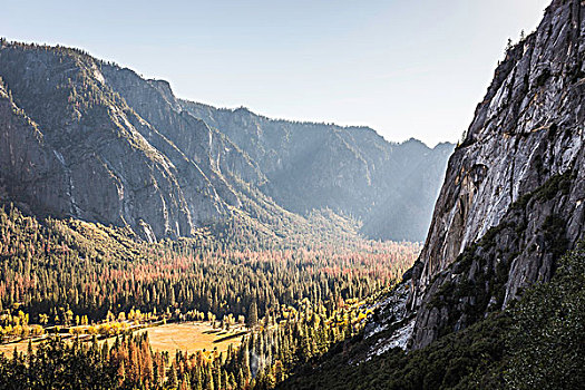 俯视图,山谷,树林,优胜美地国家公园,加利福尼亚,美国