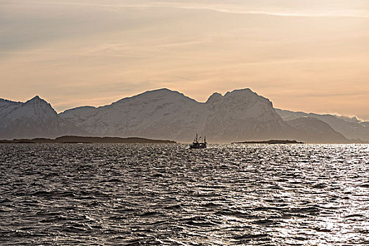 船,逆光,罗弗敦群岛,挪威,欧洲
