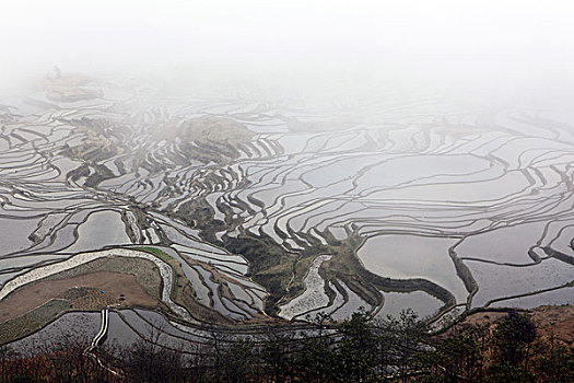 云南元阳梯田