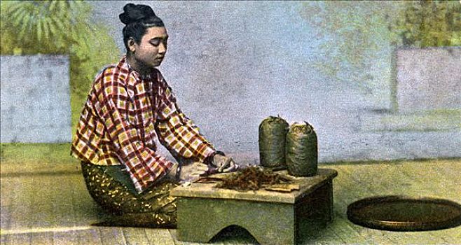 缅甸,女人,制作,雪茄