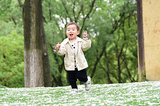 林荫下黄色草屋前,奔跑在飘满杨柳絮的绿草地上的小男孩