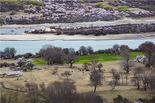 雅鲁藏布江大峡谷风光