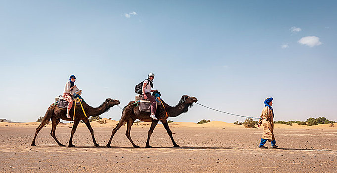 驼队,单峰骆驼,沙丘,沙漠,却比沙丘,梅如卡,撒哈拉沙漠,摩洛哥,非洲
