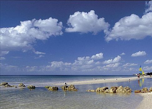 海岸,海滩,海洋,海湾,迈尔斯堡,佛罗里达,美国,北美