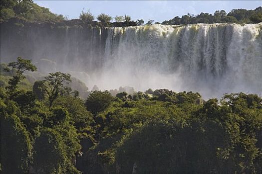 瀑布,伊瓜苏瀑布,国家公园,阿根廷