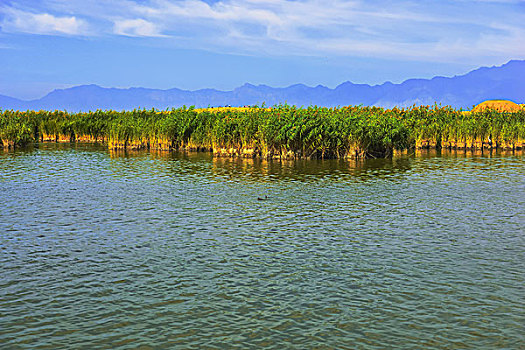 宁夏回族自治区,沙湖景观