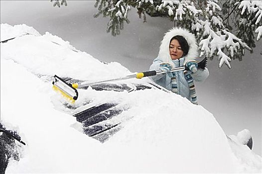 女人,刷,雪,货车