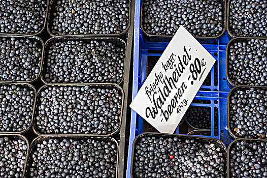 清新,蓝莓,货摊,维克托阿灵广场集市,食物,市场,慕尼黑,巴伐利亚,德国,欧洲