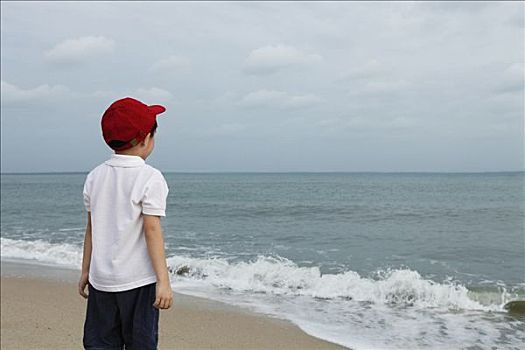 小男孩,看,海洋