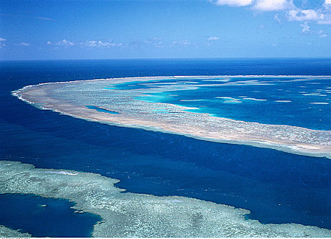 大堡礁,珊瑚海,岛屿,昆士兰,澳大利亚