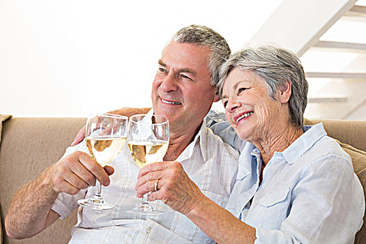 老年,夫妻,坐,沙发,白葡萄酒