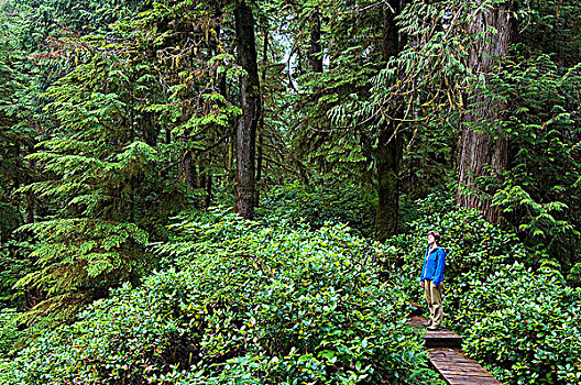 女人,雨林,小路,环太平洋国家公园,温哥华岛,不列颠哥伦比亚省,加拿大