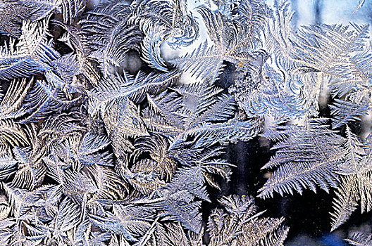 冰晶,窗玻璃,冬天,加拿大