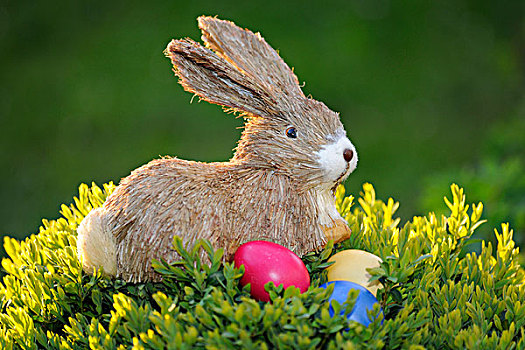 复活节兔子,雕塑,浅色,蛋